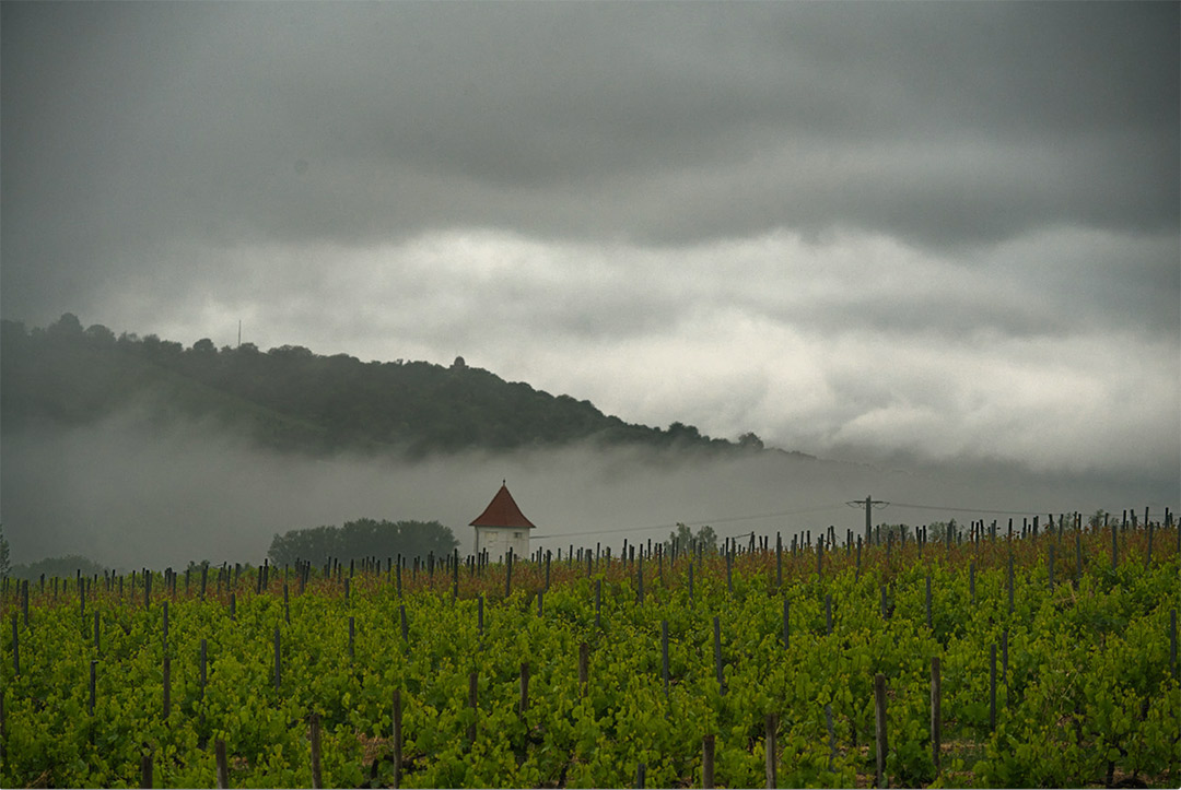 Regenwolken im Selztal