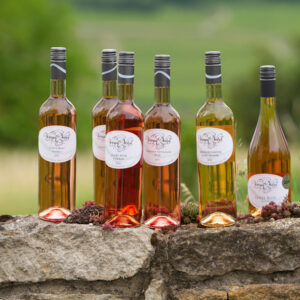 Wein des Monats Juni 2026: 6 Rosés, 1 Sparpreis - Dein perfektes Sommerpaket!