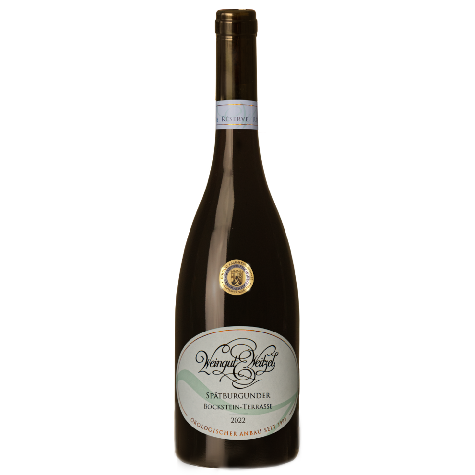 2022er Groß-Winternheimer Bockstein Terrasse Spätburgunder trocken 0,75l