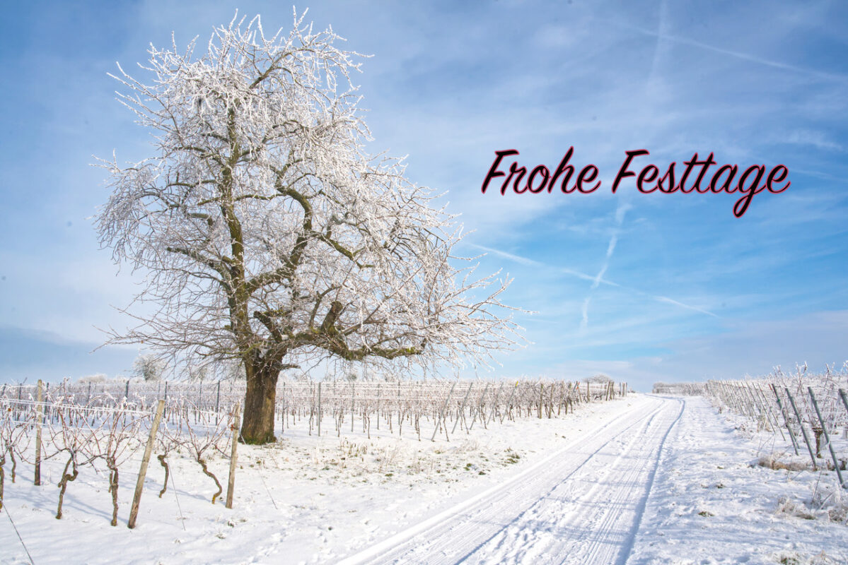 Frohe Festtage