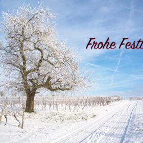 Frohe Festtage